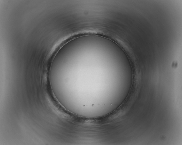 X0000112500064200908241359