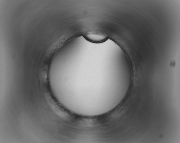 X0000112500065200908241359