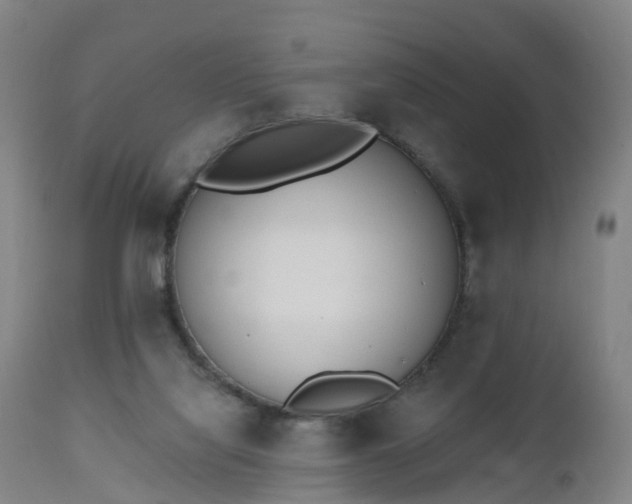 X0000112500068200908241359