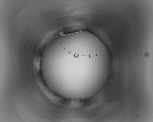 X0000112500070200908241359