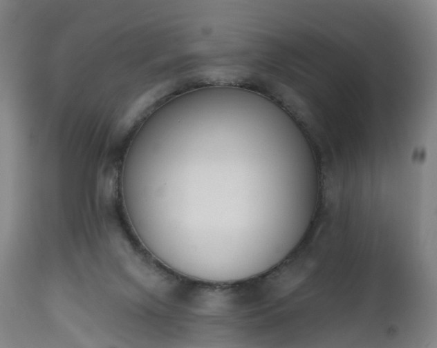 X0000112500071200908241359