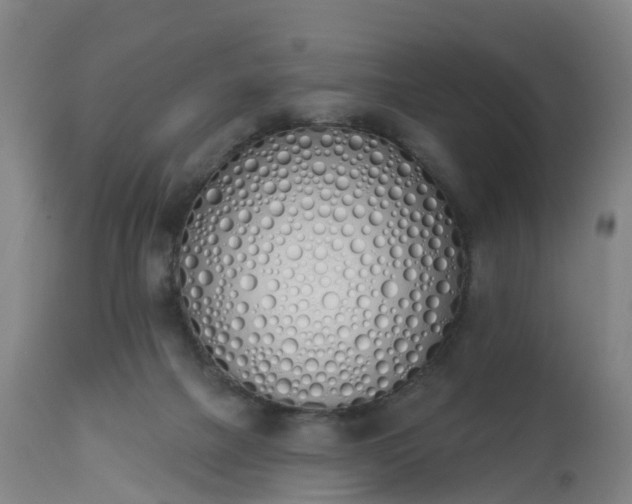 X0000112500073200908241359