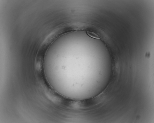 X0000112500074200908241359