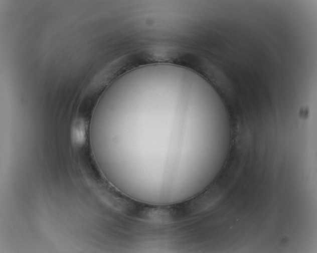 X0000112500075200908241359