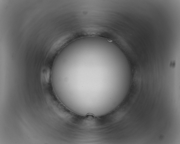 X0000112500076200908241359