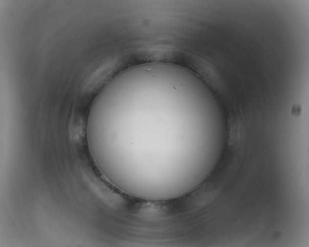 X0000112500077200908241359