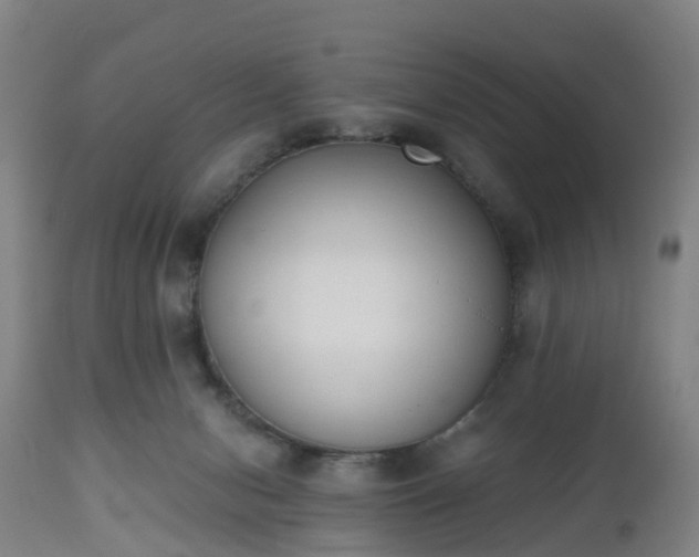 X0000112500078200908241359