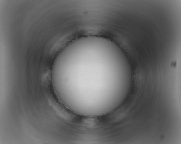 X0000112500079200908241359