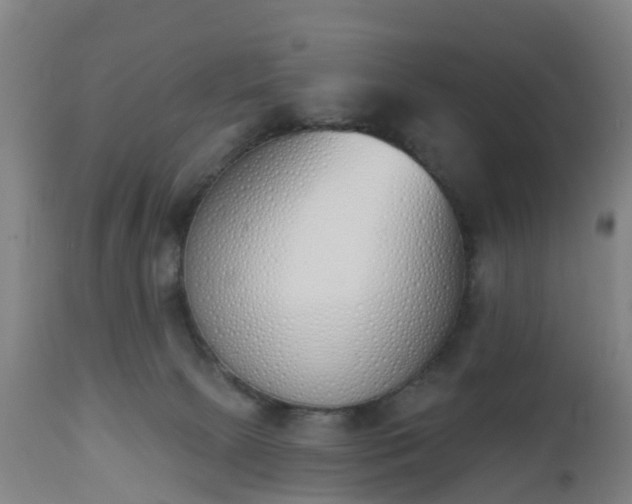 X0000112500081200908241359