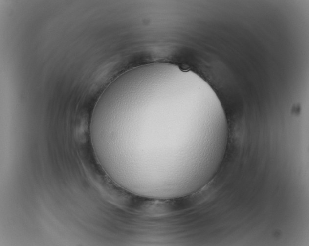 X0000112500082200908241400