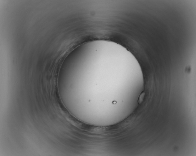 X0000112500084200908241400