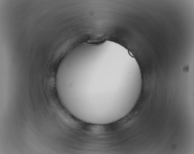 X0000112500085200908241400