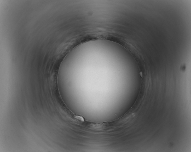 X0000112500088200908241400