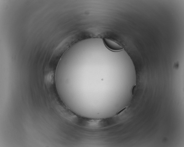 X0000112500090200908241400