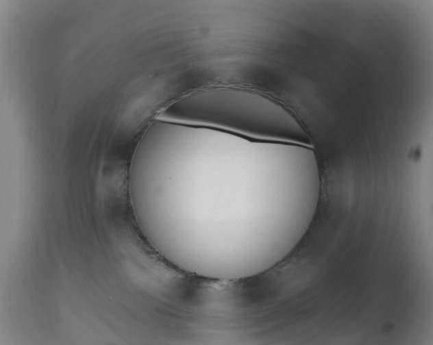 X0000112500092200908241400