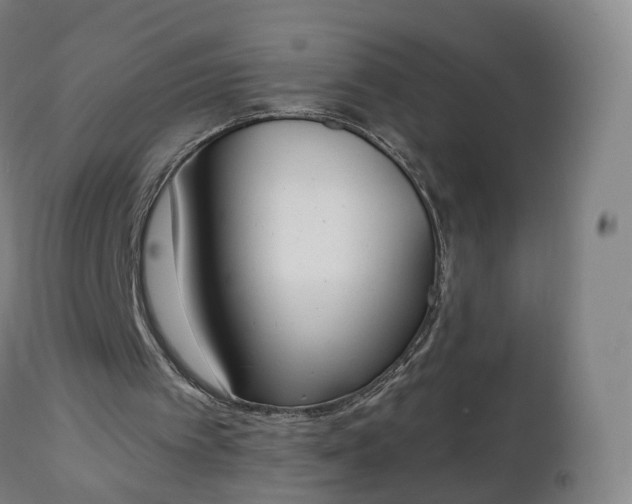 X0000112500097200908241359