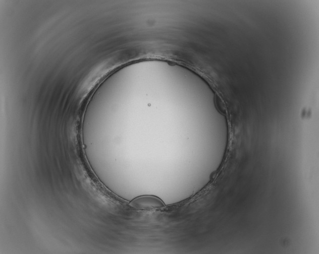 X0000112500098200908241359