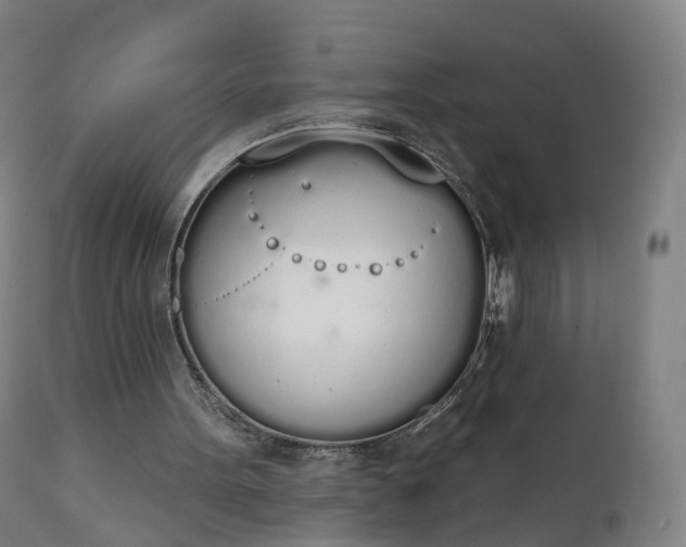 X0000112500099200908241359