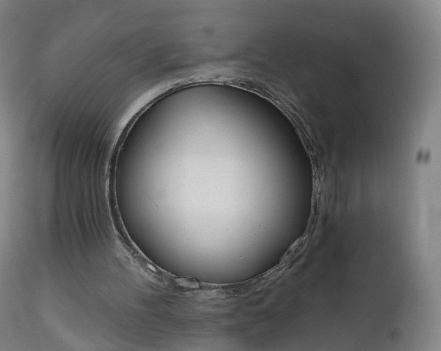 X0000112500100200908241359