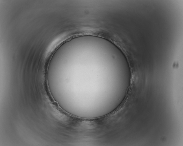 X0000112500101200908241359