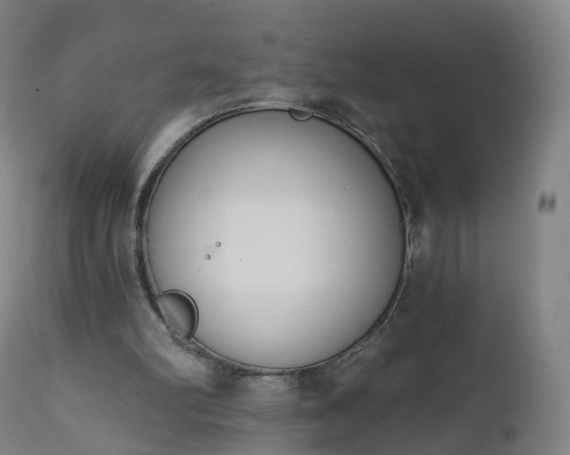 X0000112500102200908241359