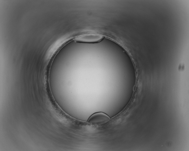 X0000112500103200908241359