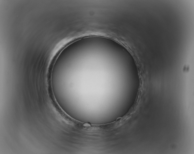 X0000112500104200908241359