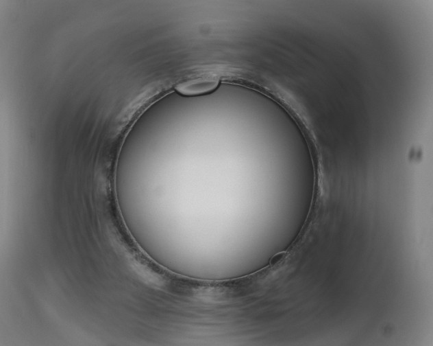 X0000112500105200908241359