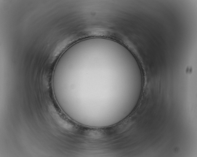 X0000112500106200908241359