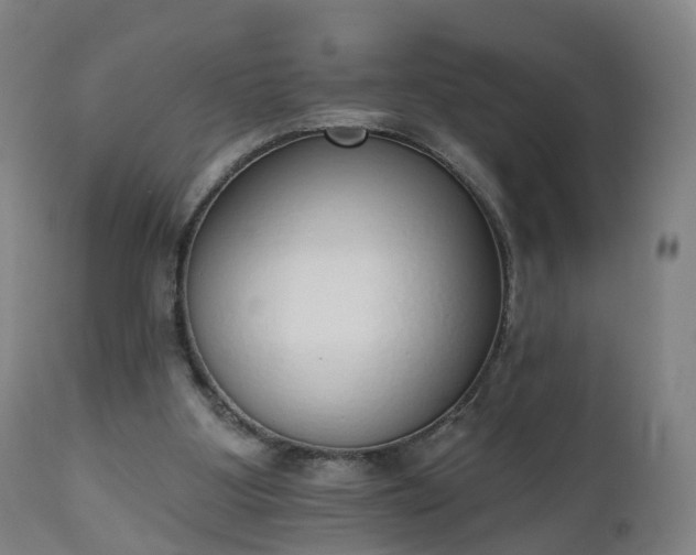 X0000112500107200908241359