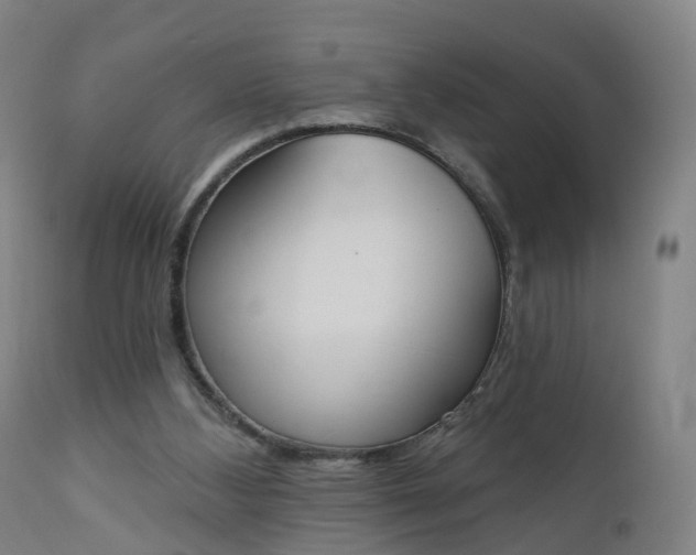 X0000112500108200908241359