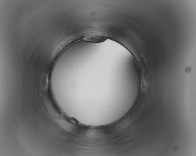 X0000112500109200908241359