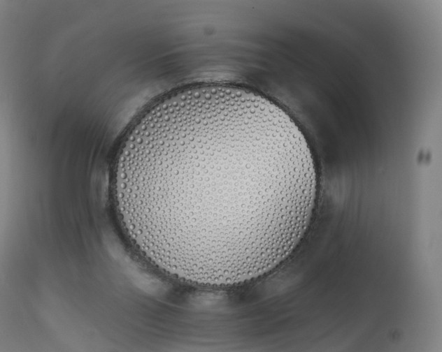 X0000112500110200908241359