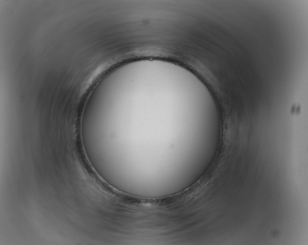 X0000112500111200908241359