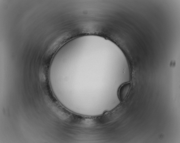 X0000112500114200908241359