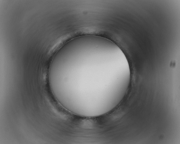 X0000112500115200908241359