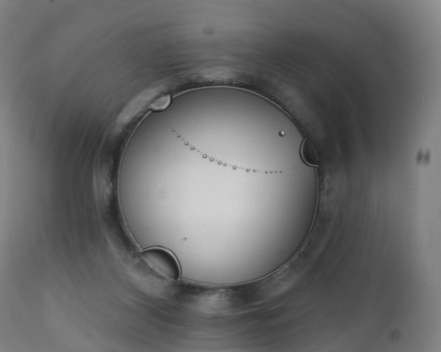 X0000112500116200908241359