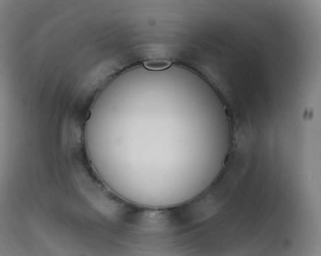 X0000112500117200908241359