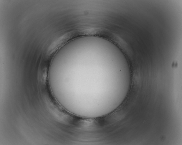 X0000112500118200908241359