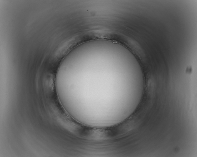 X0000112500121200908241359