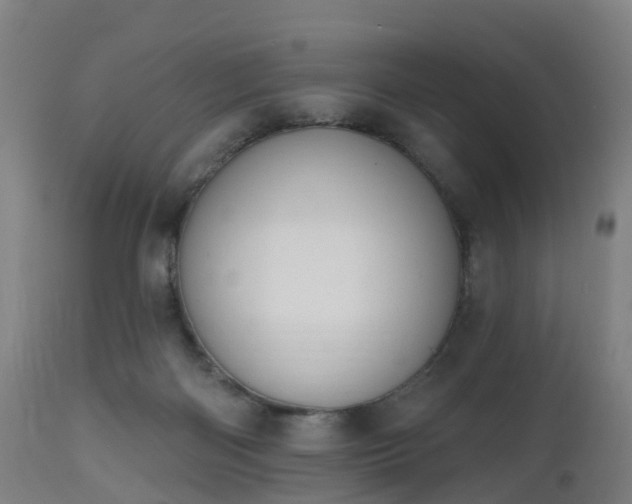 X0000112500122200908241359