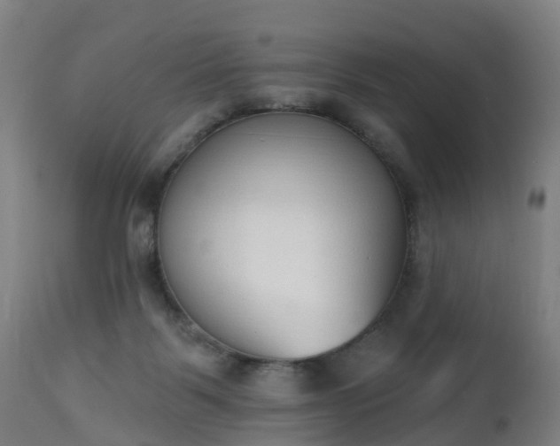 X0000112500123200908241359