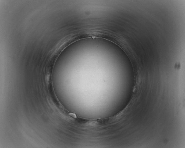 X0000112500124200908241358