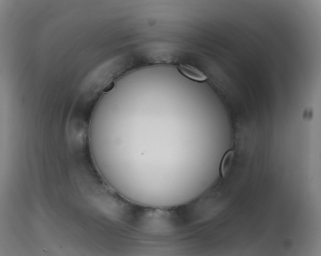 X0000112500125200908241358