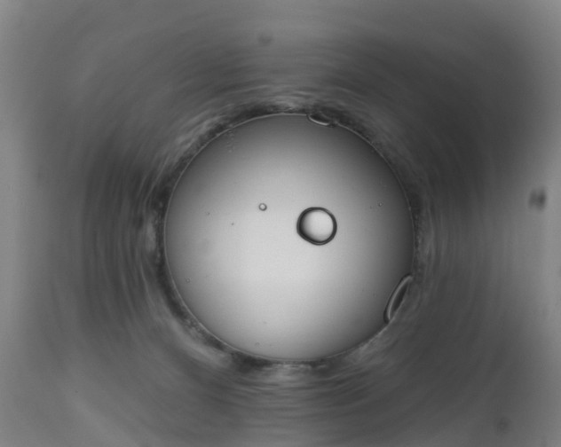 X0000112500128200908241358