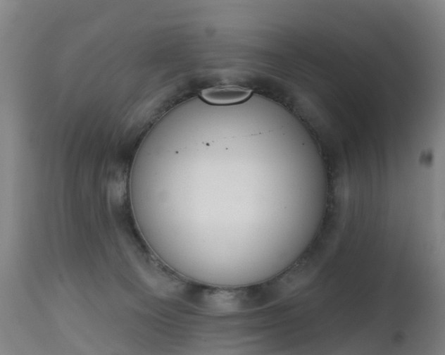 X0000112500129200908241358