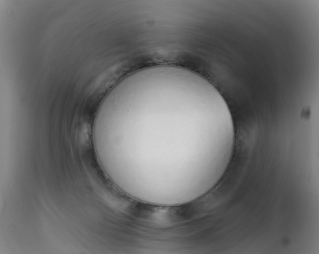 X0000112500130200908241358