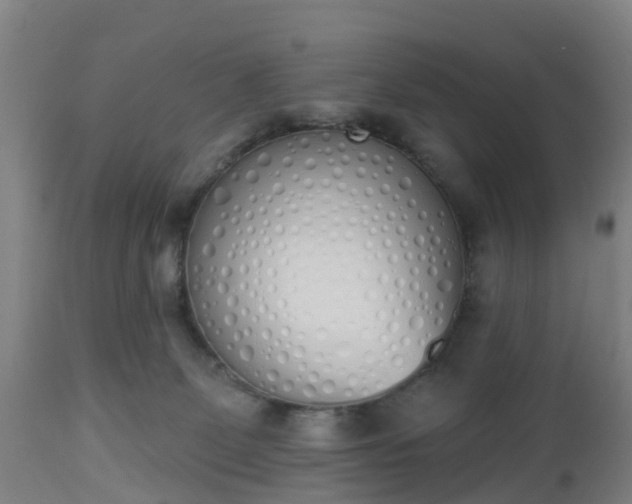 X0000112500131200908241358