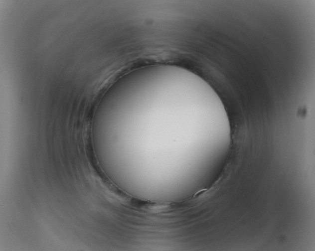 X0000112500132200908241358