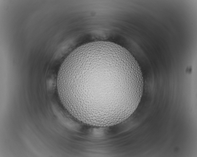 X0000112500134200908241358